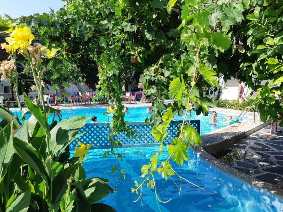 Oasis Hotel Bungalows Rhodes Afantou Exteriér fotografie