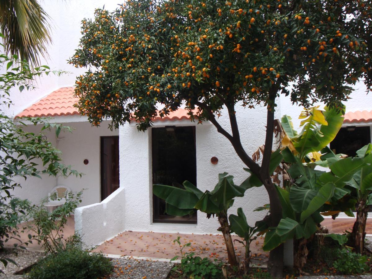 Oasis Hotel Bungalows Rhodes Afantou Exteriér fotografie