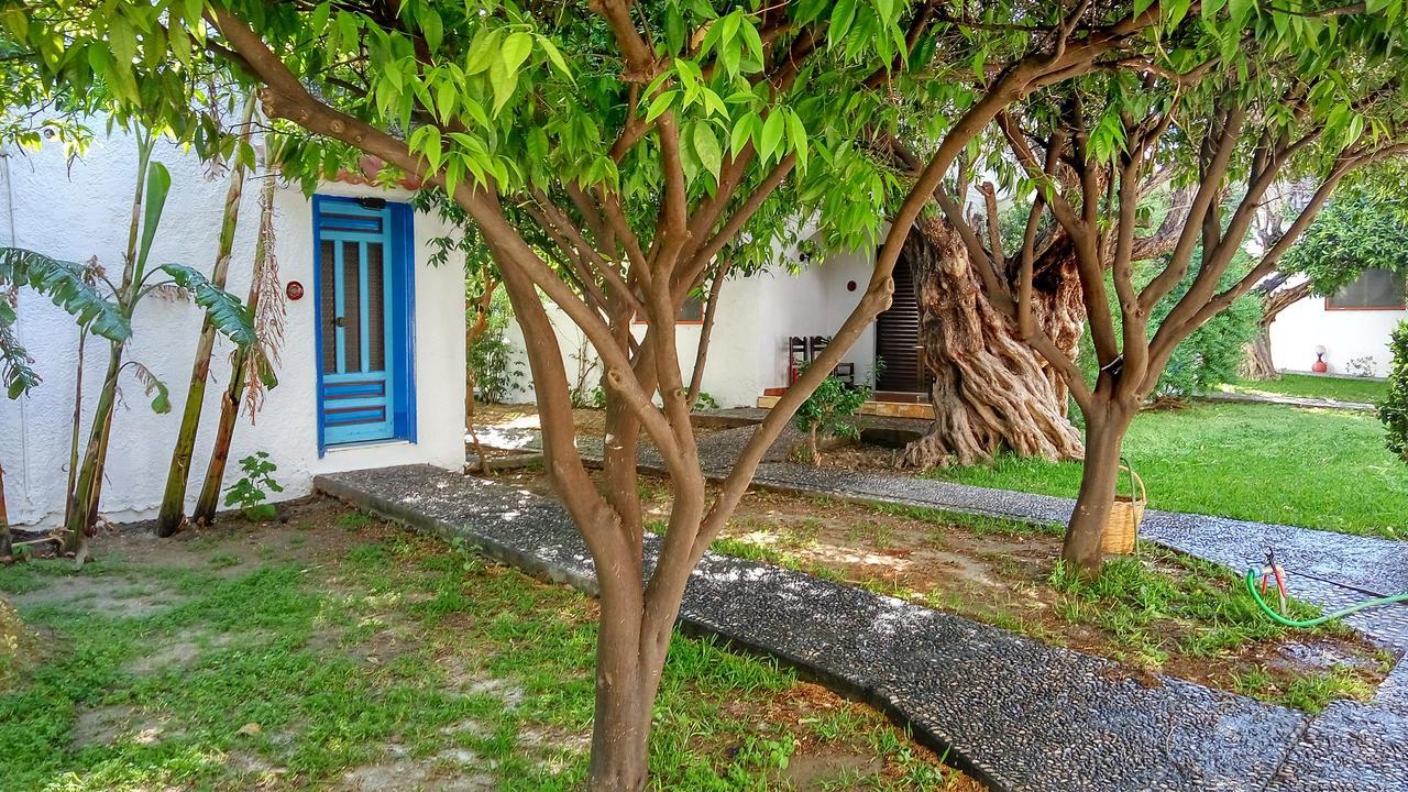 Oasis Hotel Bungalows Rhodes Afantou Exteriér fotografie